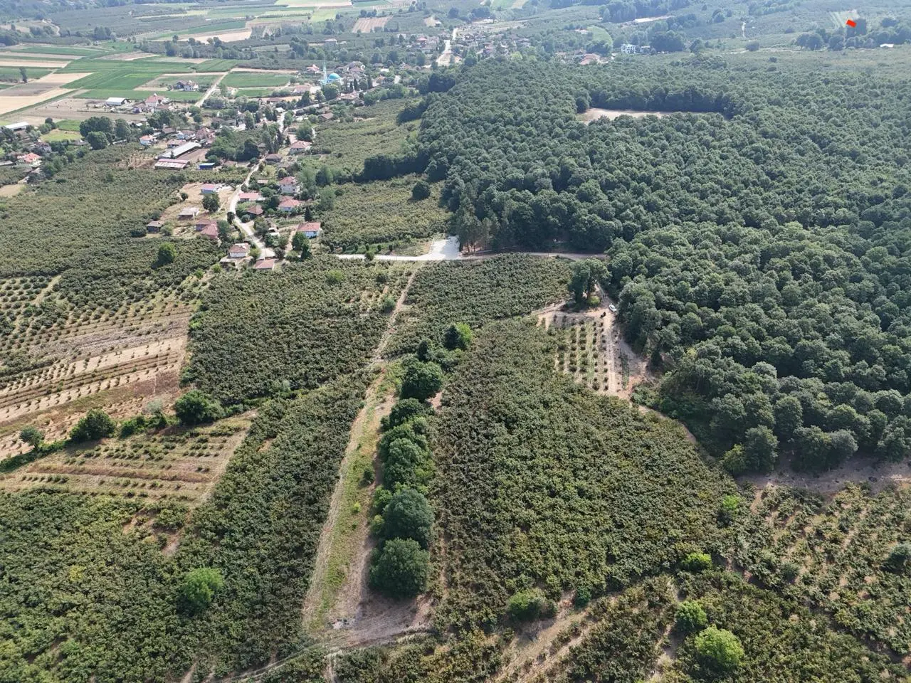Farm in Sakarya